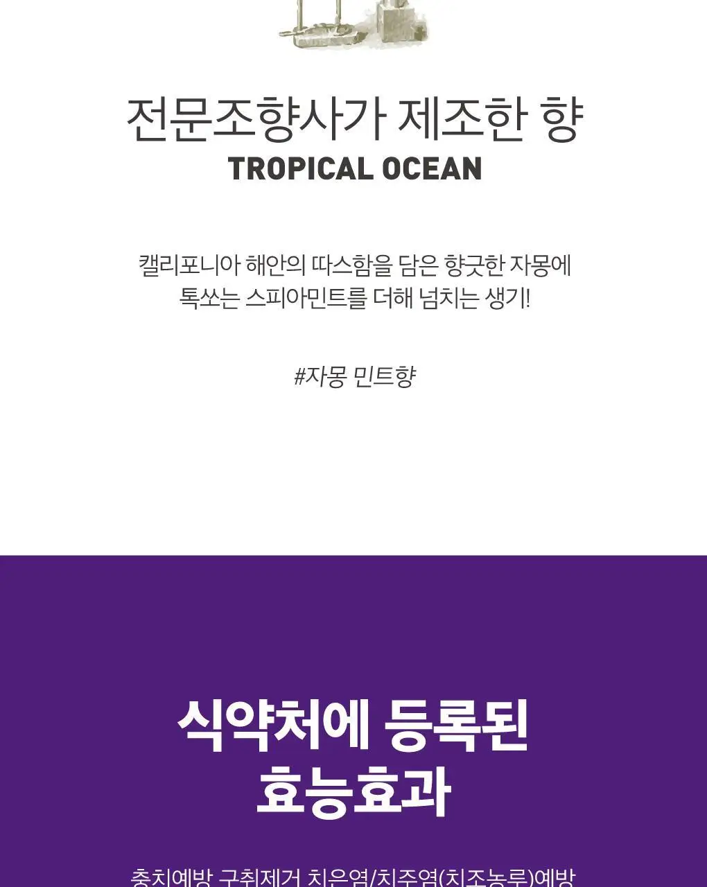 [잇몸케어] 루치펠로 트로피칼오션 치약 100g 상세페이지 8